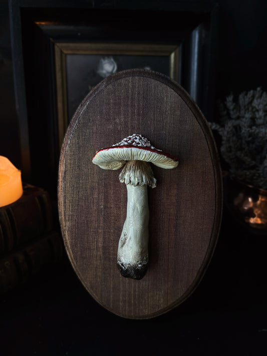Fly Agaric - Polymer Clay Mushroom (21,5x14cm)