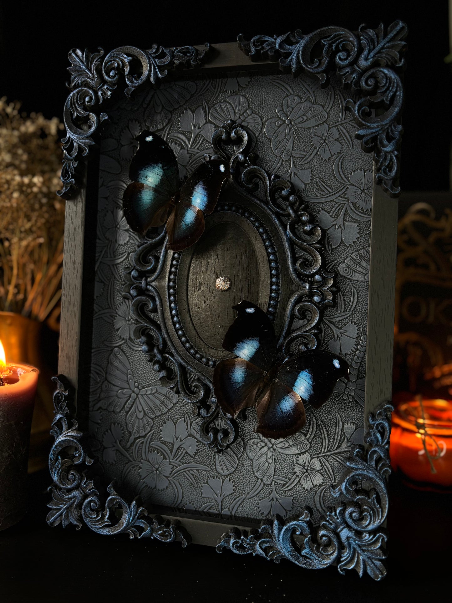 Celestial Butterfly Shadow Box | Gothic Frame with Napeocles Jucunda (30x20cm)