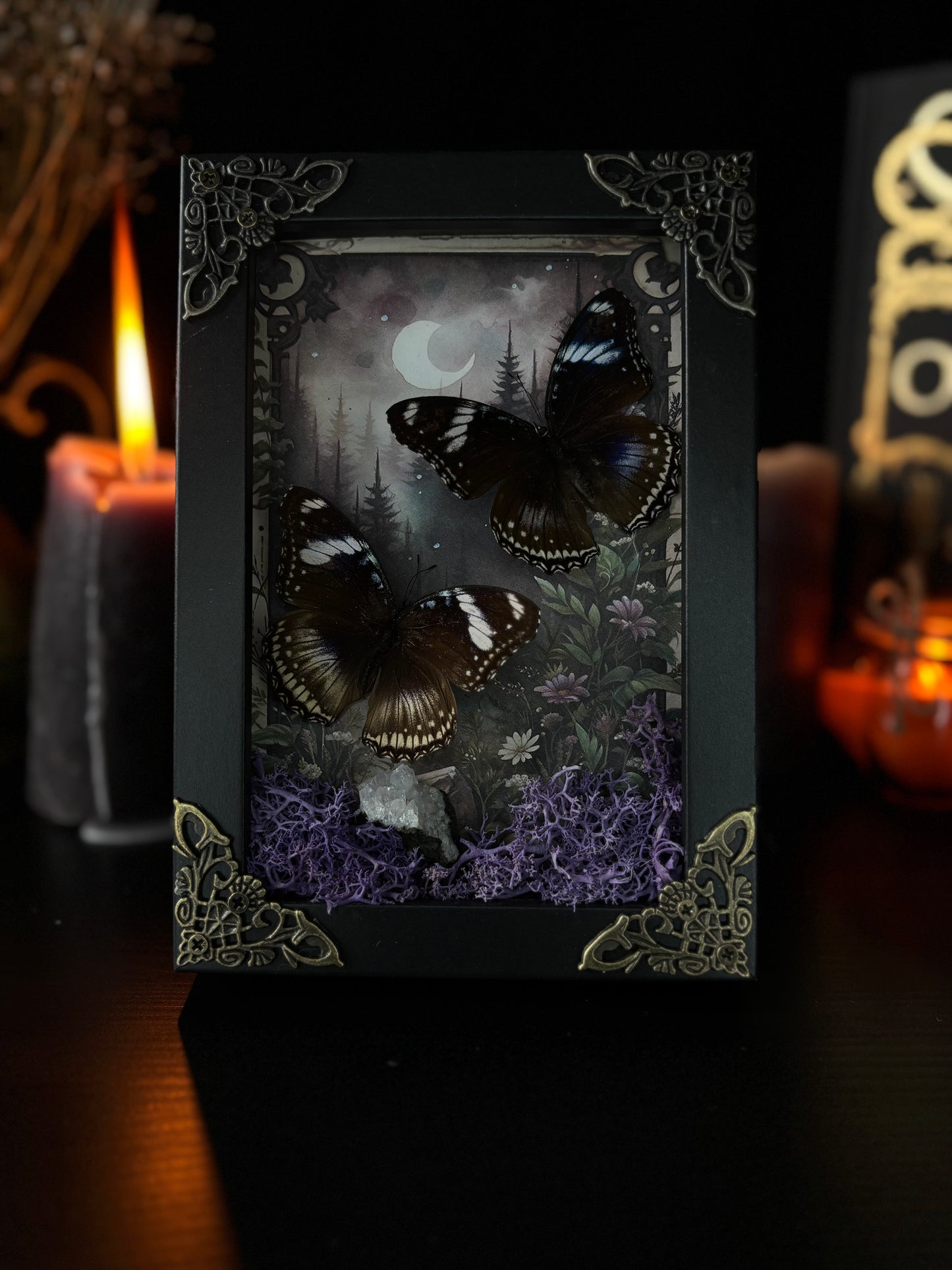 Hypolimnas Bolina  | Moonlit Forest Frame (15x10cm)