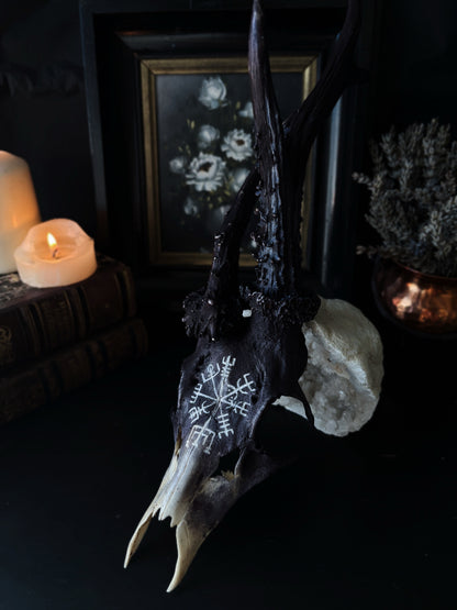 Vegvisir Deer Skull | Handcarved & Painted Bone Art