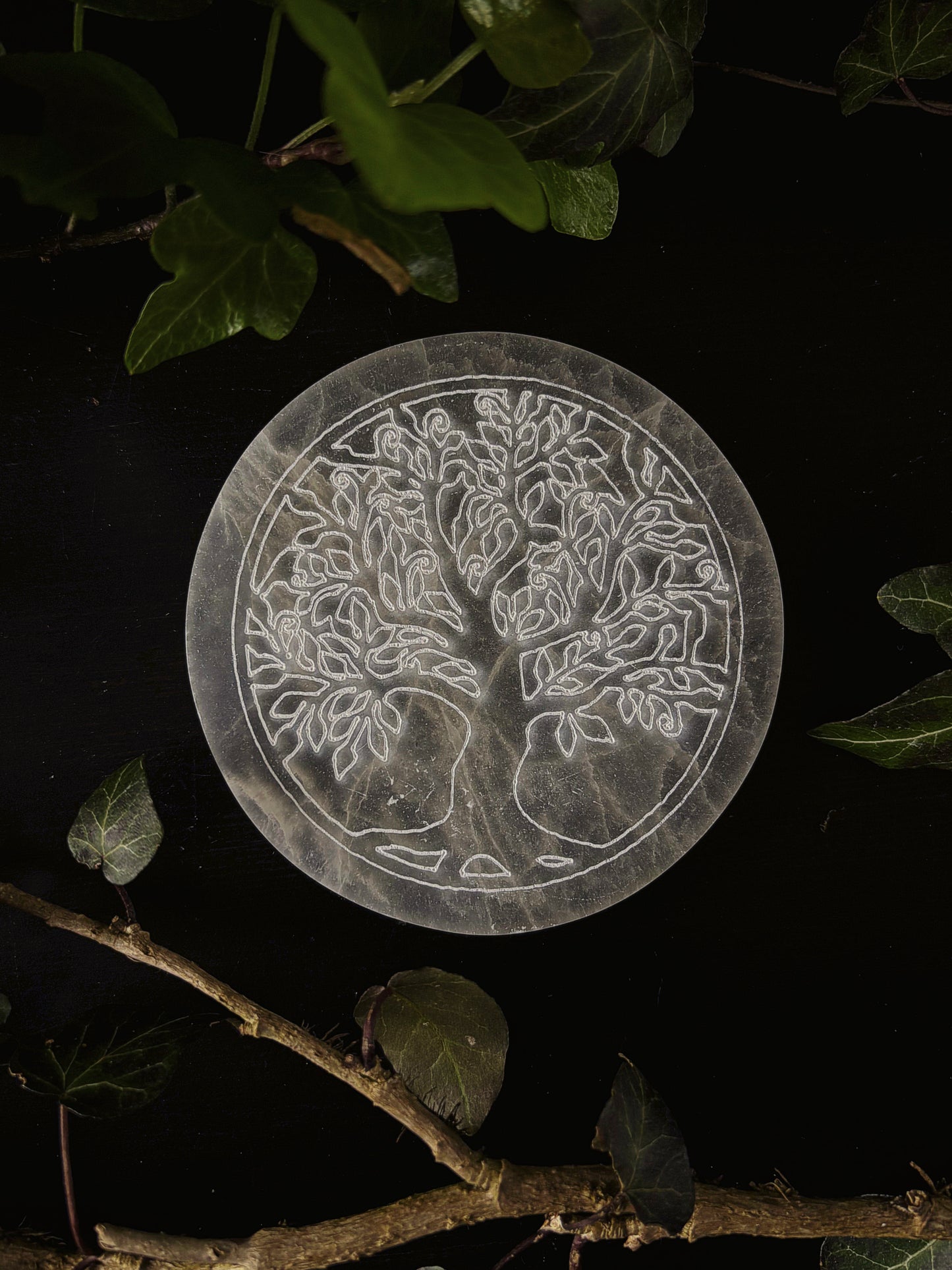 Tree of Life - Selenite Charging Plate 8cm