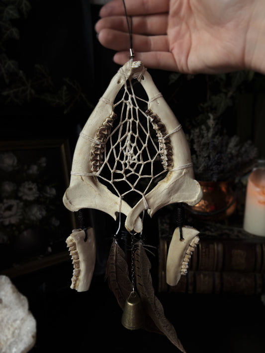 Forest Dreamer - Deer Jaw Dreamcatcher