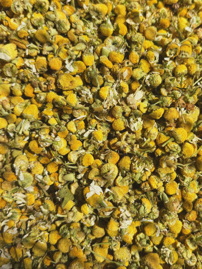 CHAMOMILE ✦ dried flowers (25g)