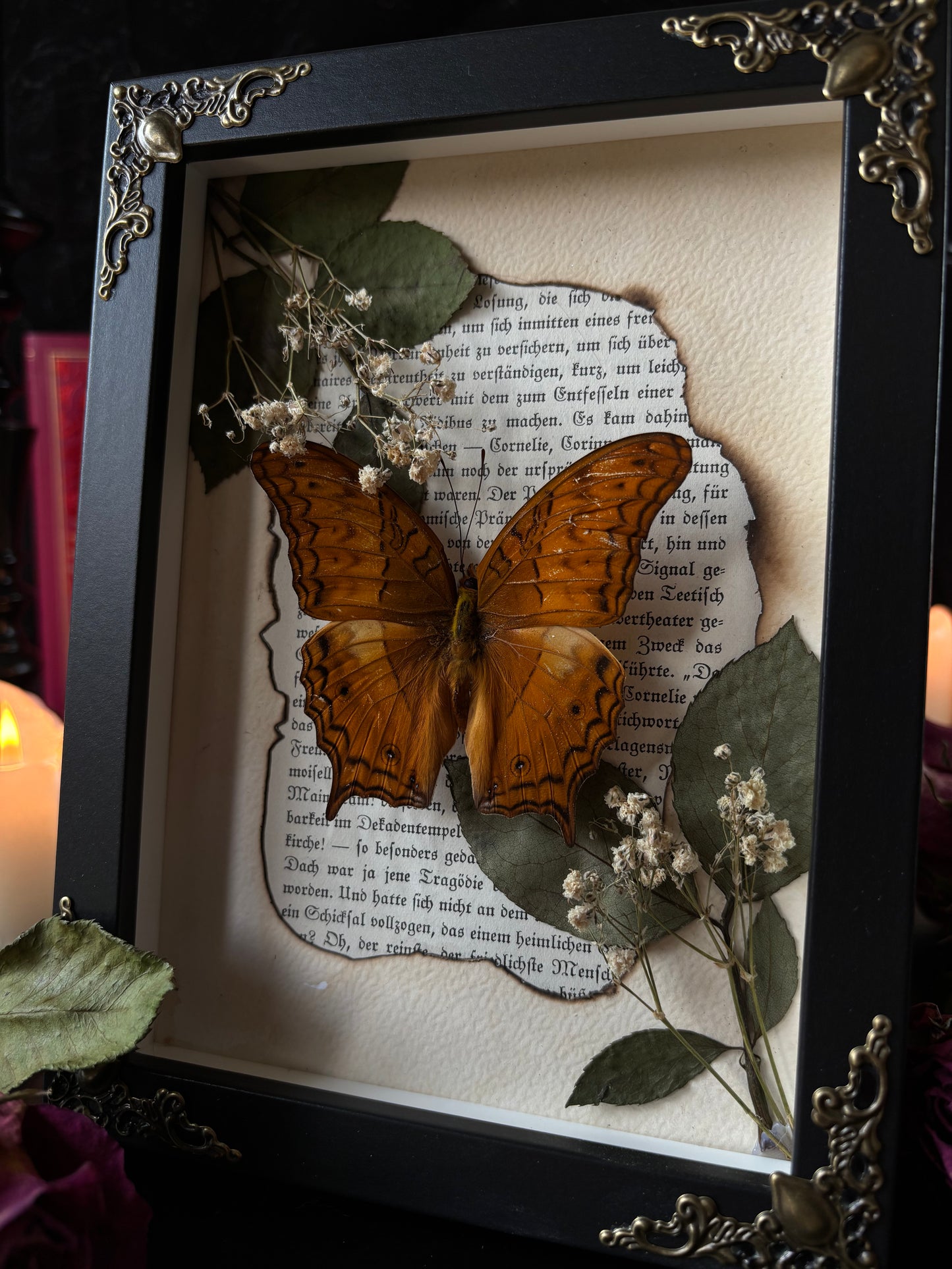 „Book portal“ (18x13cm)