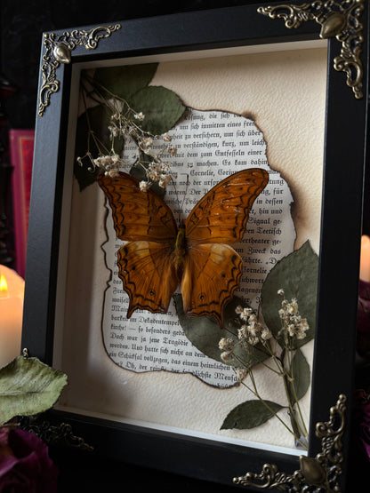 „Book portal“ (18x13cm)