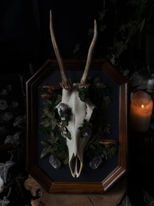 Gods of the Forest (Vintage Frame, 20x15 cm)