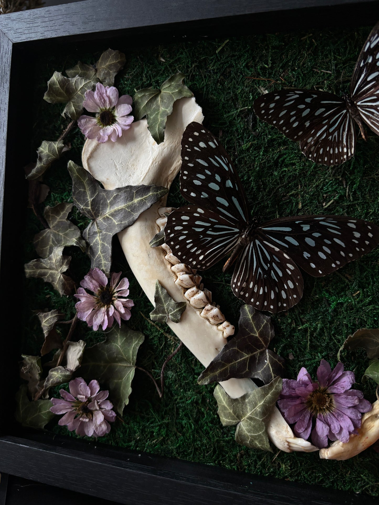 Woodland dreams 🌿 (30x25cm)