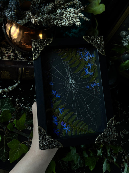 Framed spiderweb - Witches lair