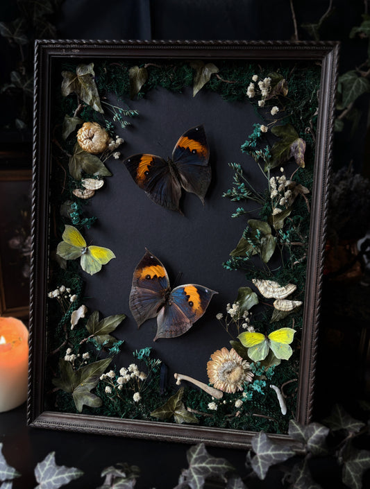 Forest remains | Vintage Wood Frame (55x26cm)