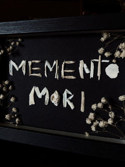 Memento mori Bone Frame (18x13cm)