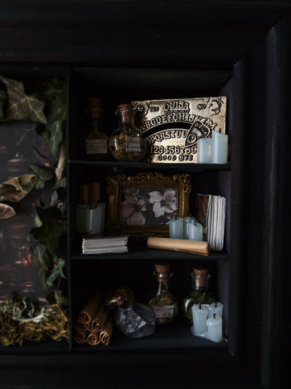 Occult Study – Miniature Witch’s Cabinet – Daphnis nerii (23 × 18 cm)