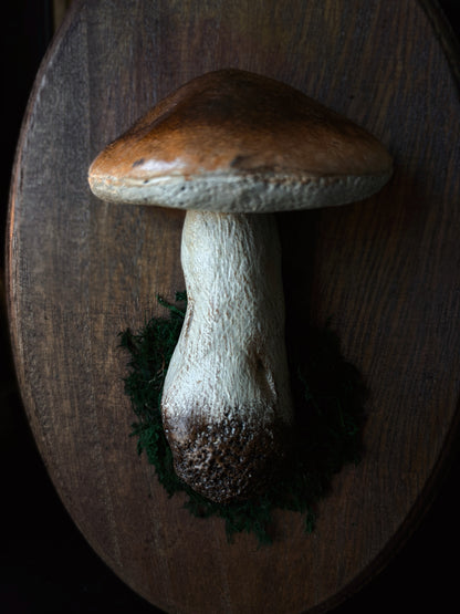 Porcini Mushroom - Polymer Clay Mushroom (21,5x14cm)