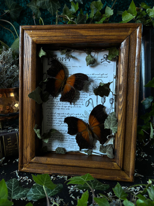 Poppy Frame – "Salamis" (24x18cm)