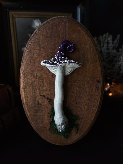 Witch’s Cap - Polymer Clay Mushroom (21,5x14cm)