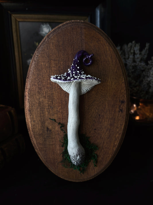 Witch’s Cap - Polymer Clay Mushroom (21,5x14cm)