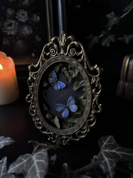 Blue Lycaenidae | Vintage Brass Frame (14x10cm)