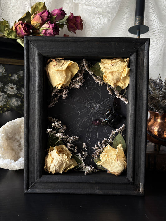 “Widow’s Garden” – Giant Carpenter Bee in Web with White Roses (23x18 cm)