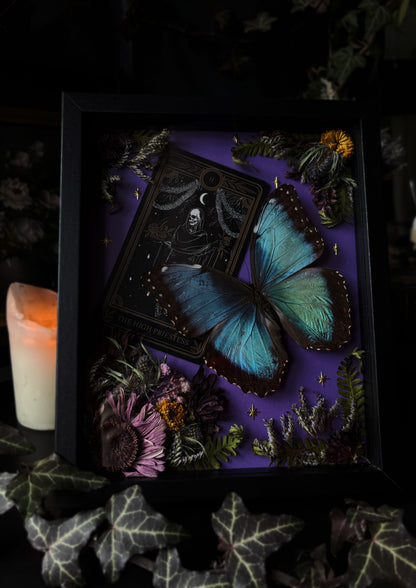 The High Priestess – Morpho helenor (20x15 cm)