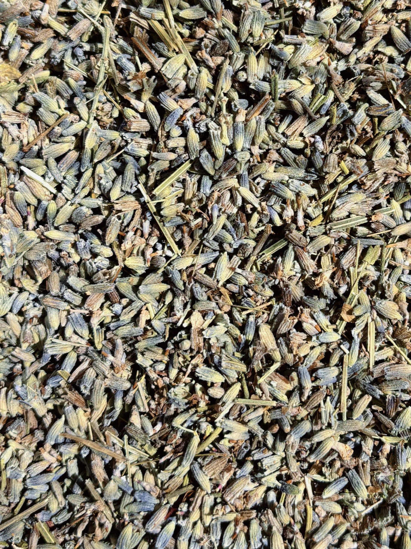 LAVENDER ✦ dried flowers (50g)