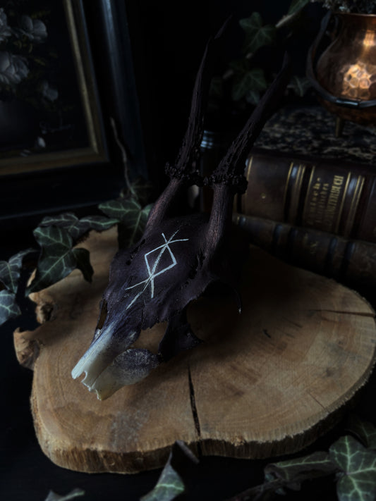 Runic Deer Skull | Handcarved & Painted Bone Art