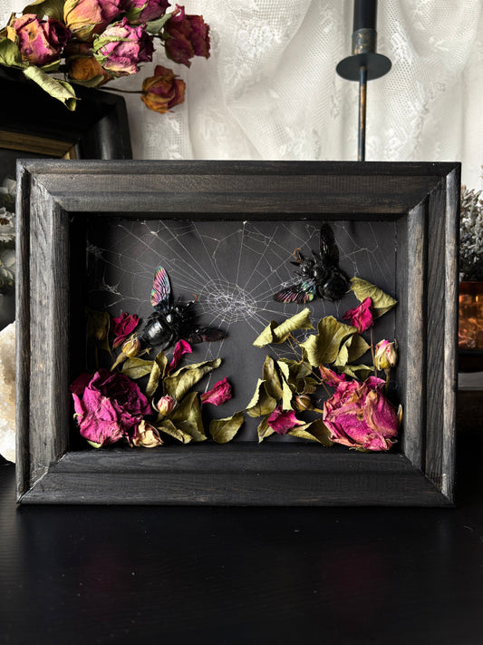 “Keeper of the Web” – Xylocopa latipes (23x18 cm)