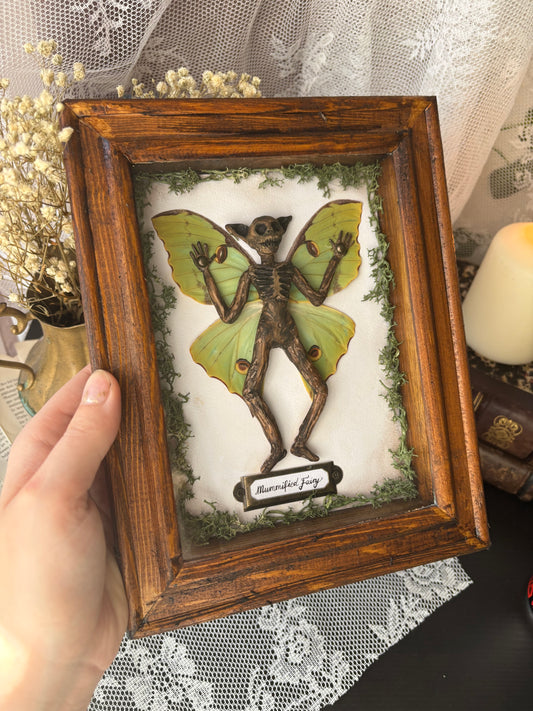 Mummified fairy (23x18cm)