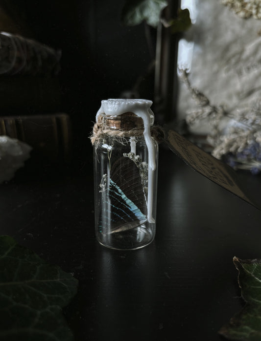 Whimsical wings - mothwing glass jar (small)