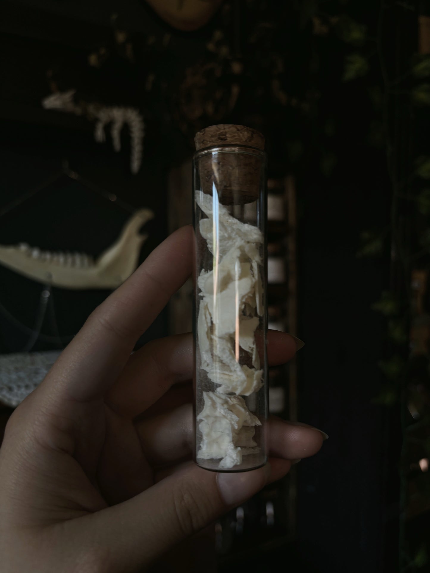 Bone fragment vial (12cm)
