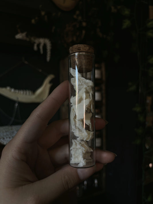 Bone fragment vial (12cm)