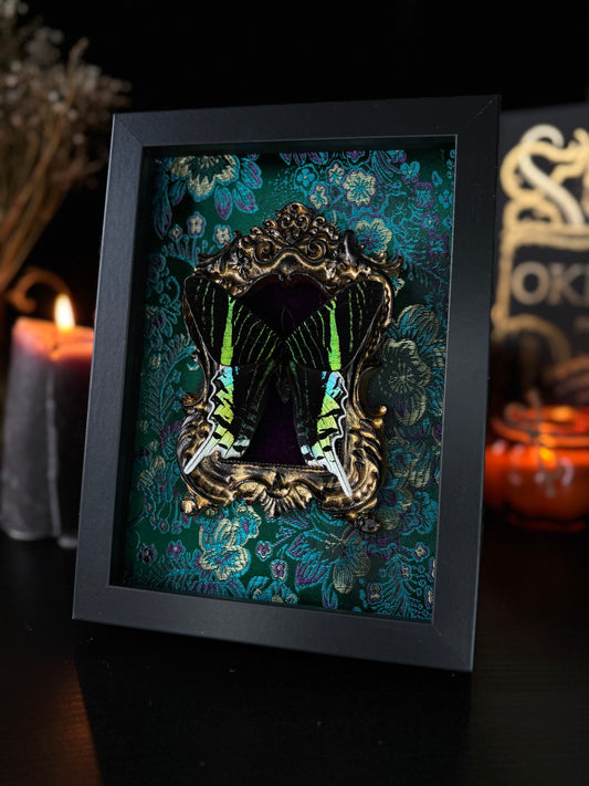 Urania leilus - Whimsical Display (18x13cm)