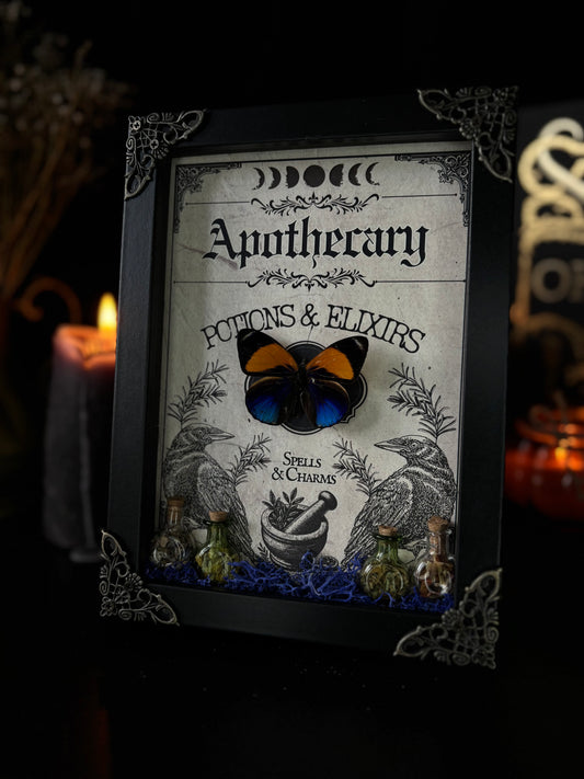 Asterope Davisii Apothecary Frame | Potion Vial Curio