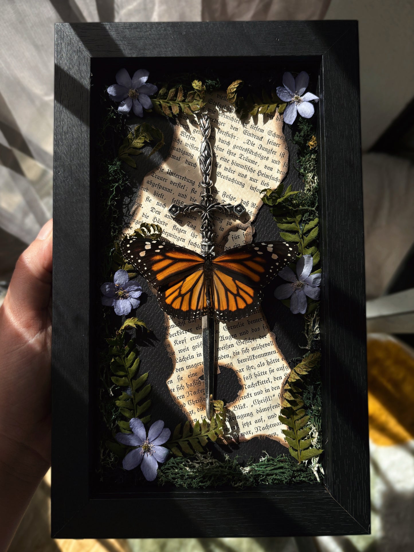 Sword Frame – Danaus plexippus (22x12cm)
