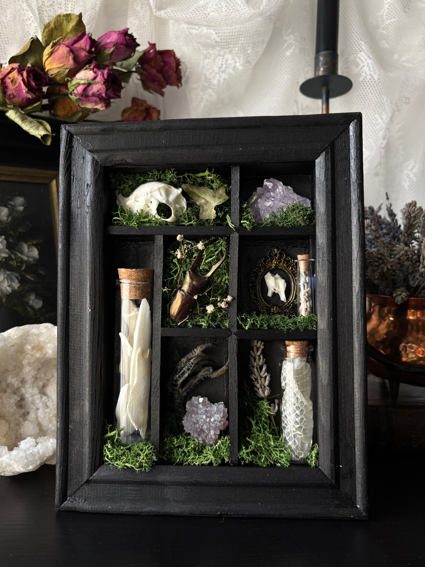 “Witch’s Curio Cabinet” – Framed Shadowbox of Natural Oddities (23x18)