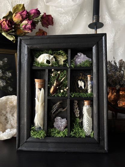 “Witch’s Curio Cabinet” – Framed Shadowbox of Natural Oddities (23x18)