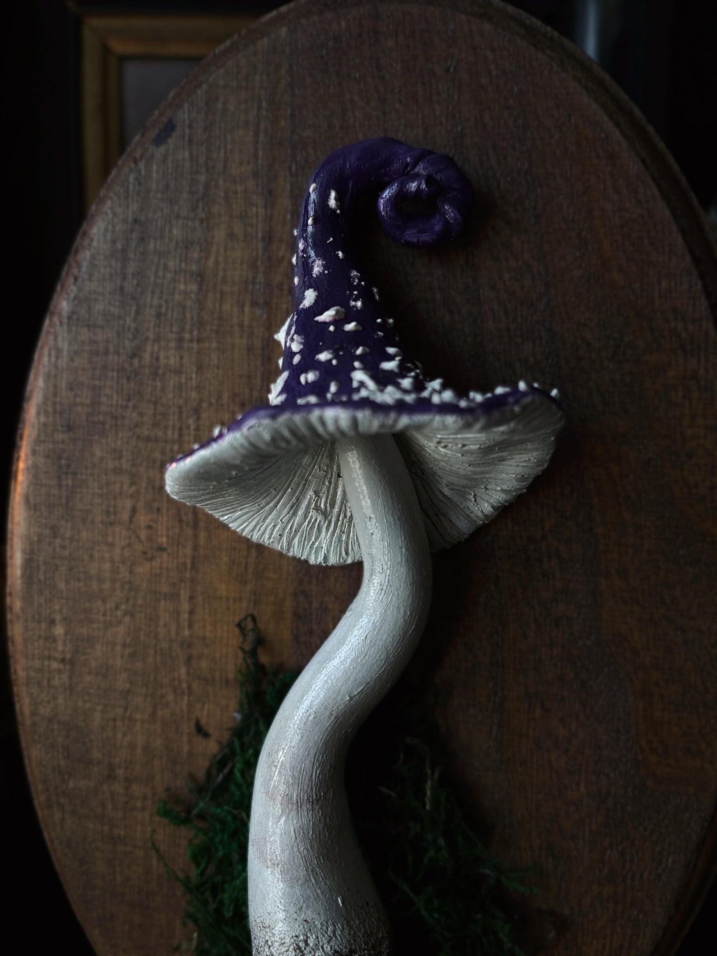 Witch’s Cap - Polymer Clay Mushroom (21,5x14cm)