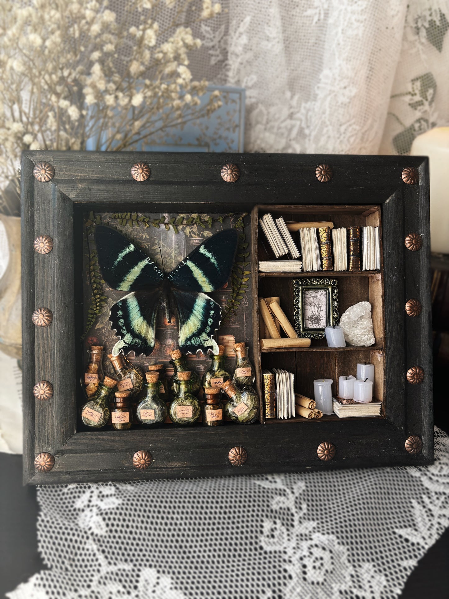 „Alchemy“ – Miniature Witch’s Cabinet - Alcides orontes (23x18cm)