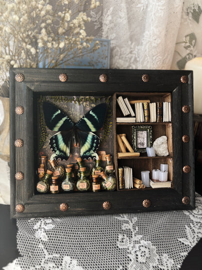 „Alchemy“ – Miniature Witch’s Cabinet - Alcides orontes (23x18cm)