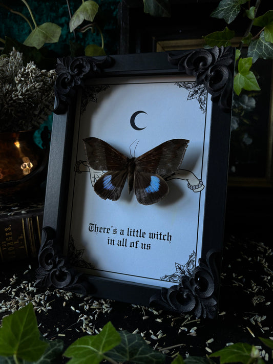 „To be a witch“ - Ischyja inferna(18x13cm)