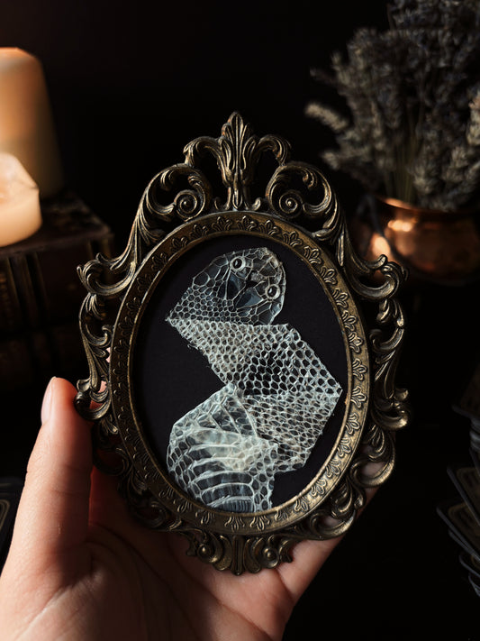 Serpents veil 🐍 (Vintage brass frame) (13x10cm)