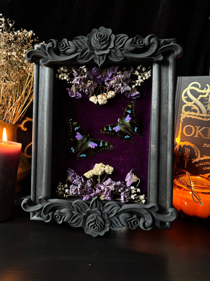 Graphium Weiskei | Whimsical Velvet Floral Frame