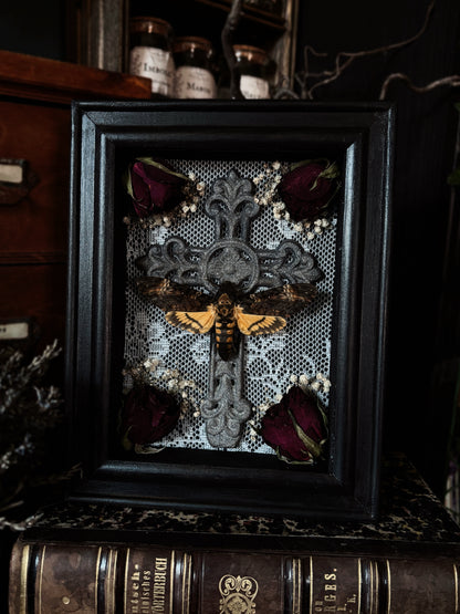 The mourning cross | Acherontia atropos