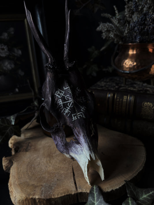 Vegvisir Deer Skull | Handcarved & Painted Bone Art