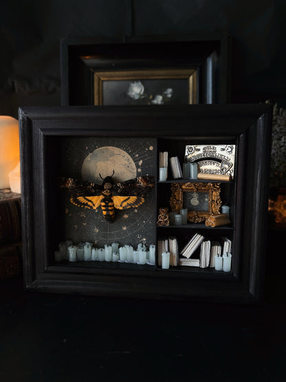 Moonlight Cabinet – Miniature Witch’s Cabinet – Acherontia atropos (23x18cm)
