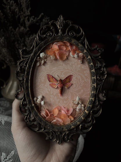 Rosy royalty (Vintage)