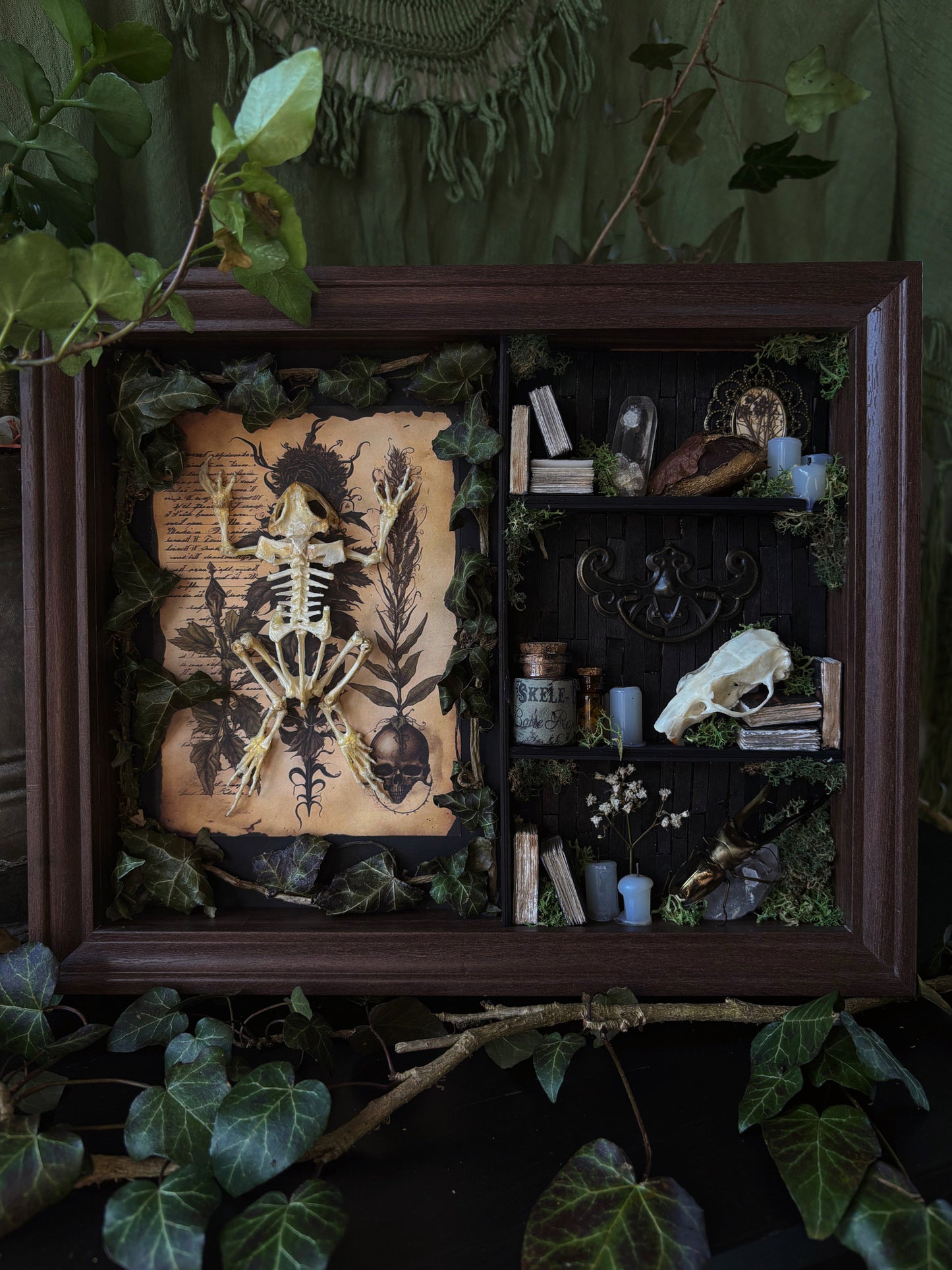 Forbidden forest Apothecary cabinet