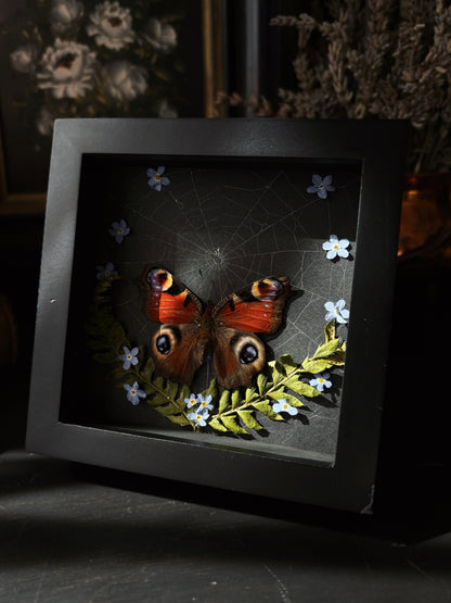 "Forget me not" - Inachis io (10x10cm)