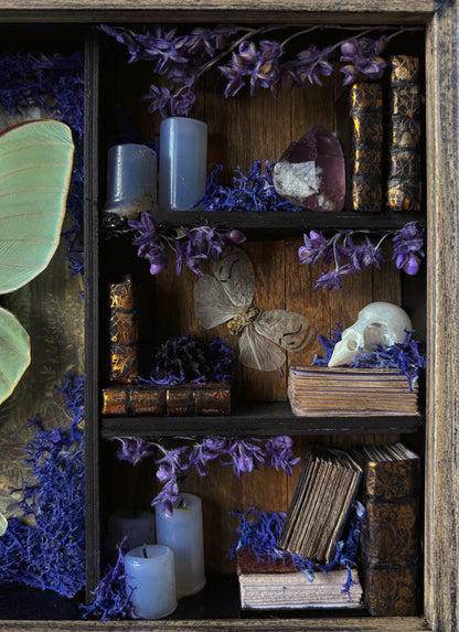 Lilac Apothecary cabinet - Luna moth