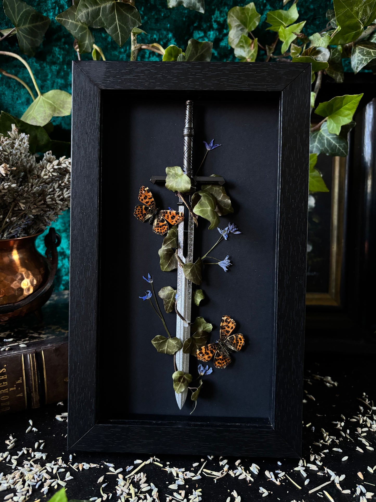 Sword frame - Araschnia levana (22x12cm)