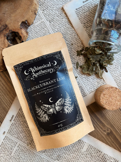 BLACKCURRANT LEAF ✦ dried leaves (40g)