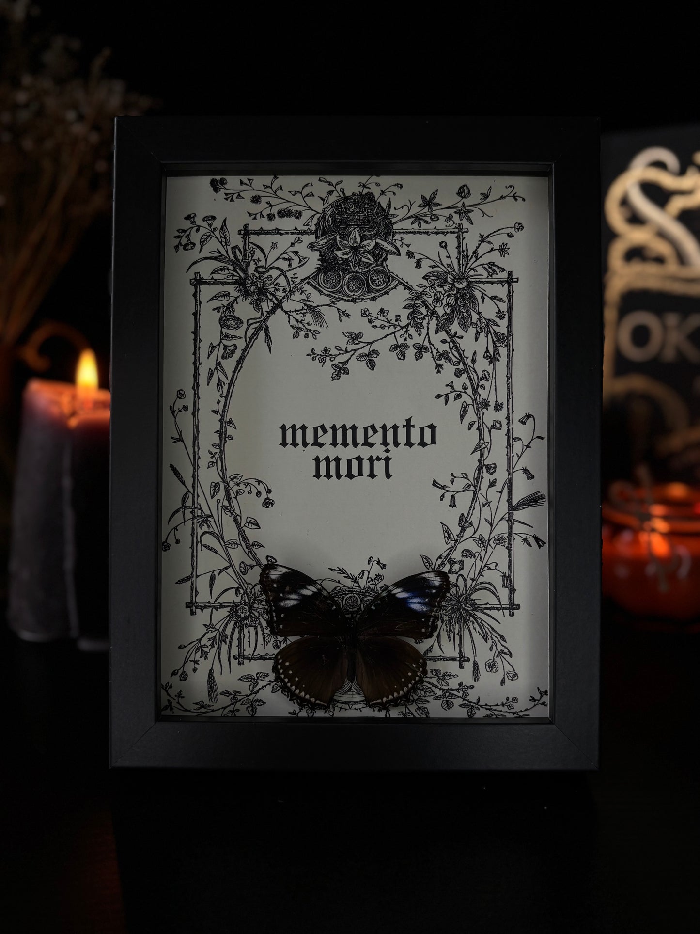 Memento Mori Gothic Frame | Hypolimnas bolina (18x13cm)